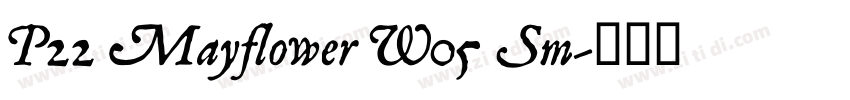 P22 Mayflower W05 Sm字体转换